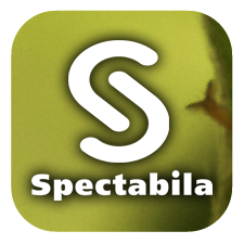spectabila